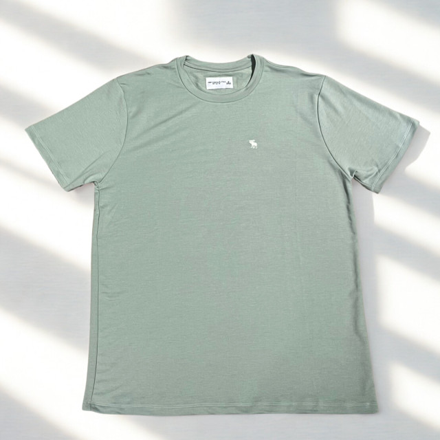 Abercrombie & Fitch 短T