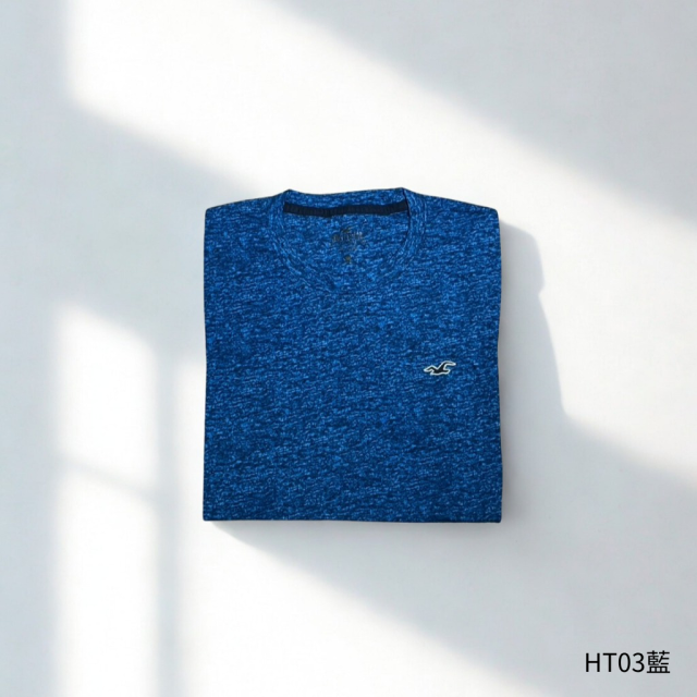 HOLLISTER 特殊款短T