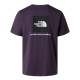 The North Face NSE Box Logo 短T