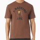 BAPE College Logo 短T｜A Bathing Ape 猿人頭T恤