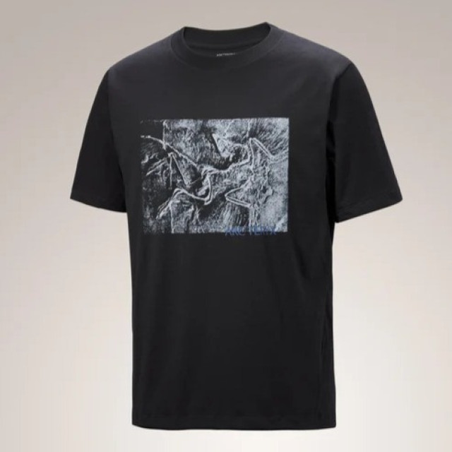 ARC'TERYX 始祖鳥短T  胸前大圖