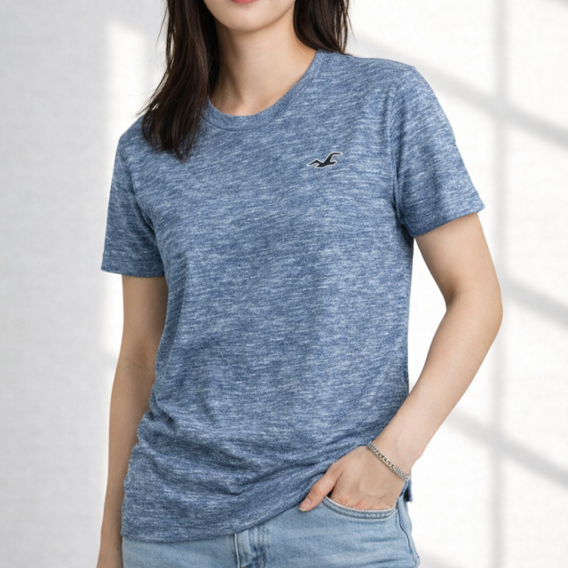 HOLLISTER 特殊款短T