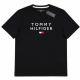 Tommy Hilfiger 經典大Logo刺繡短袖T恤
