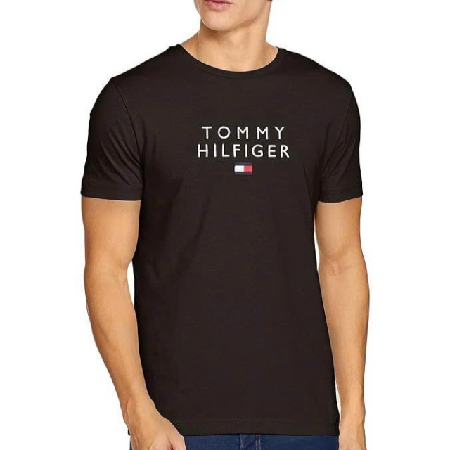 Tommy Hilfiger 經典大Logo刺繡短袖T恤