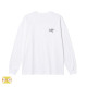 ARC'TERYX 始祖鳥  骷髏鳥大圖長T