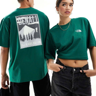 THE NORTH FACE DENALI 阿拉斯加山景短袖T恤